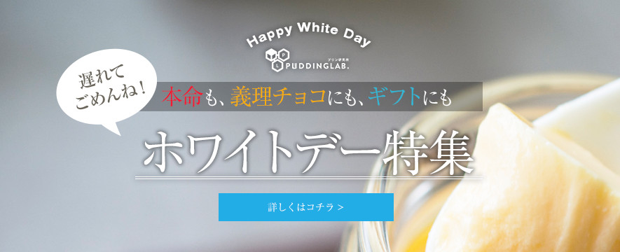 �ۥ磻�ȥǡ��ý�