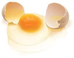 卵黄、卵白の比率による食感の違い